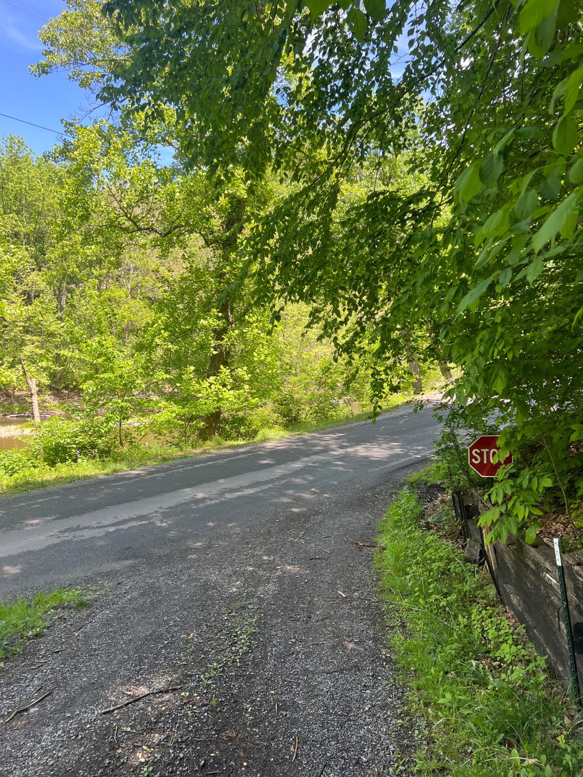 Edgar Lane Upper Tract, WV 26866 - Photo 21 of 22 Smoke Hole Road access near Eagle Rock.