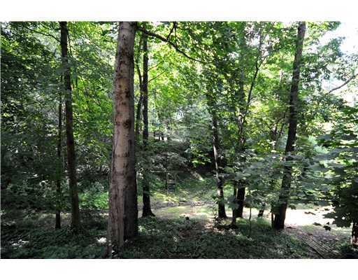 229 Orr Road Upper St. Clair, PA 15241 - Photo 18 of 18 Yard/Garden.