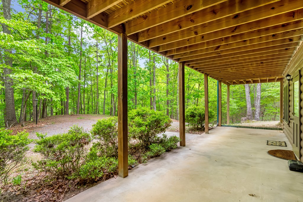 4834 Squirrel Hunting Road Morganton, GA 30560 - Photo 7 of 48 a view of a backyard of the house