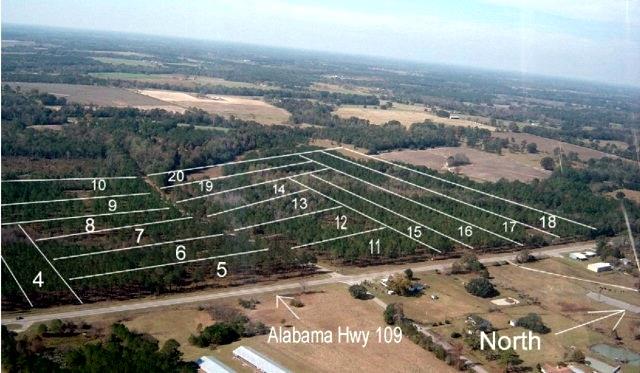 Tbd Junction Road Slocomb, AL 36375 - Photo 1 of 1