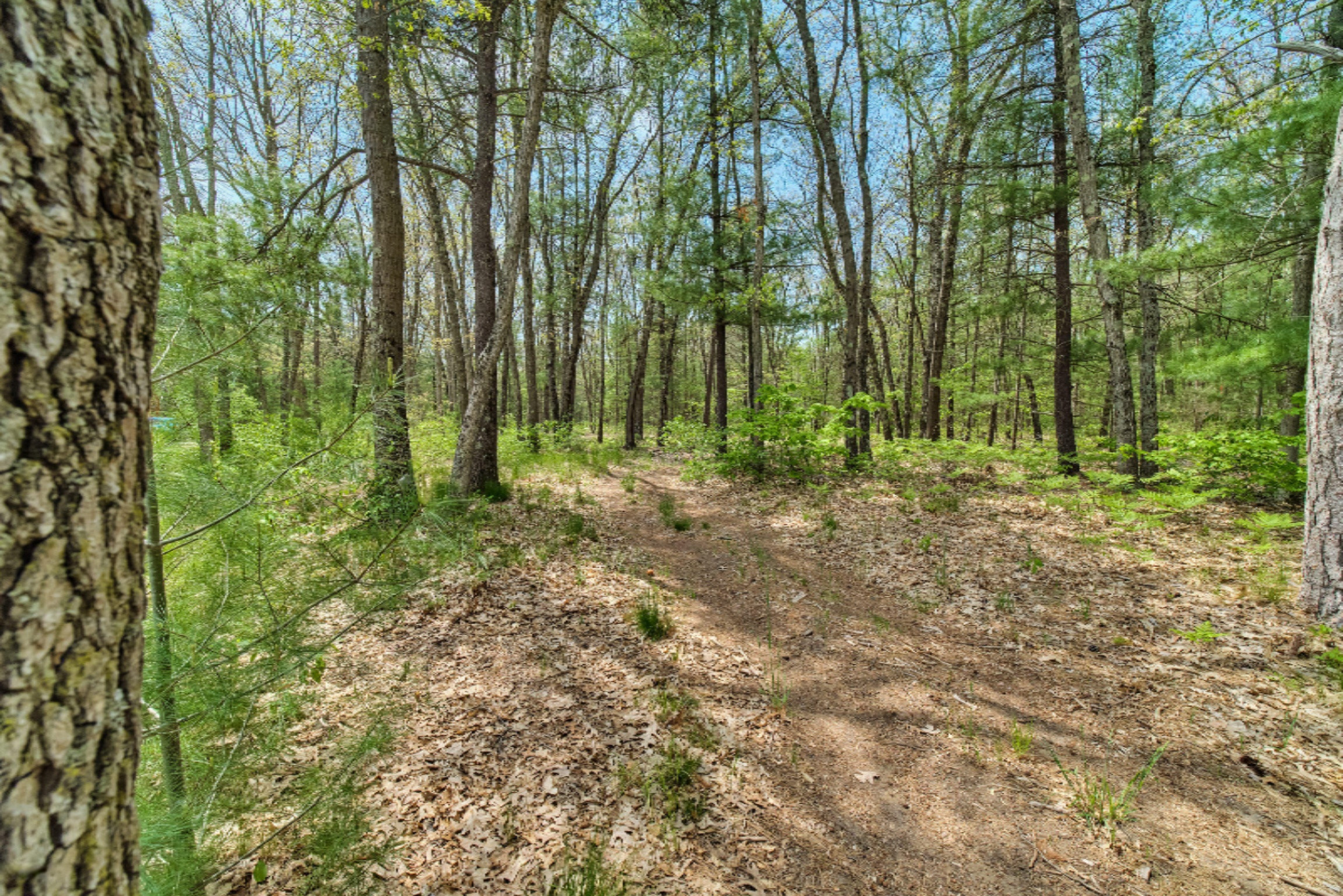 8578 South 116th Avenue Rothbury, MI 49452 - Photo 44 of 54 8578_S_116th_Ave-44