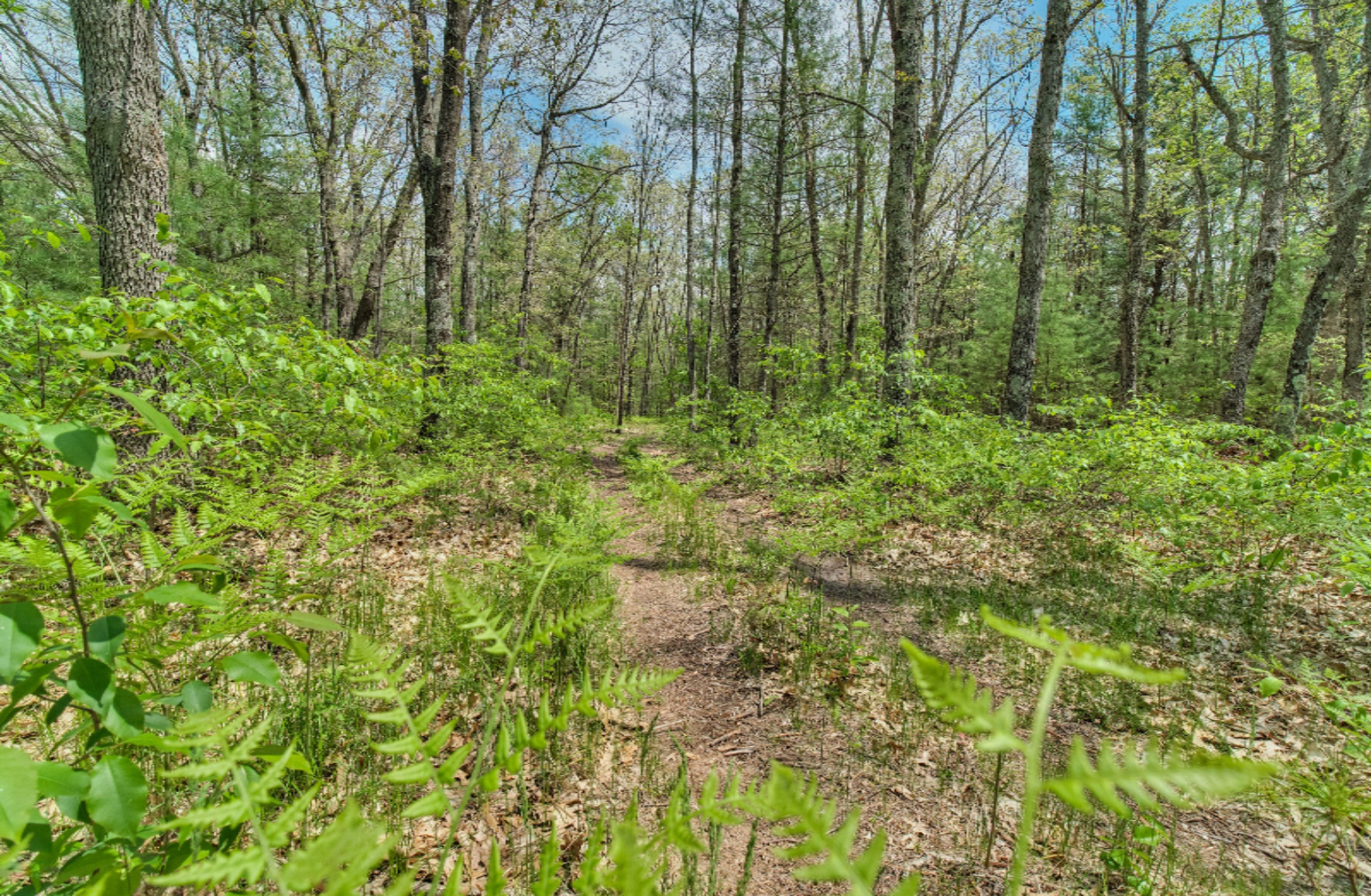 8578 South 116th Avenue Rothbury, MI 49452 - Photo 51 of 54 8578_S_116th_Ave-54