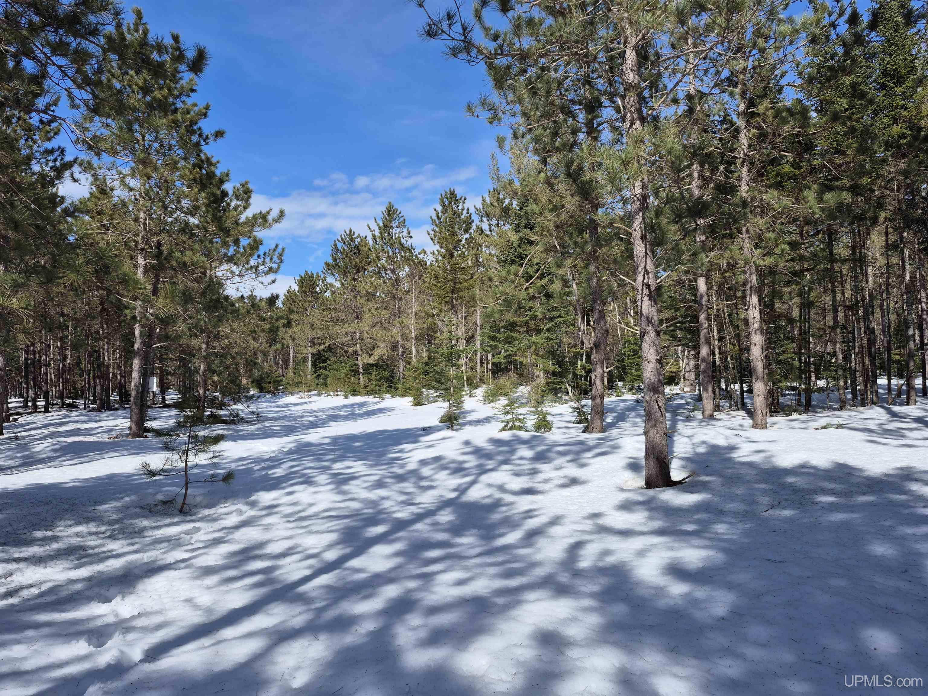 20-acres Off Flodin Road Manistique, MI 49854 - Photo 8 of 29