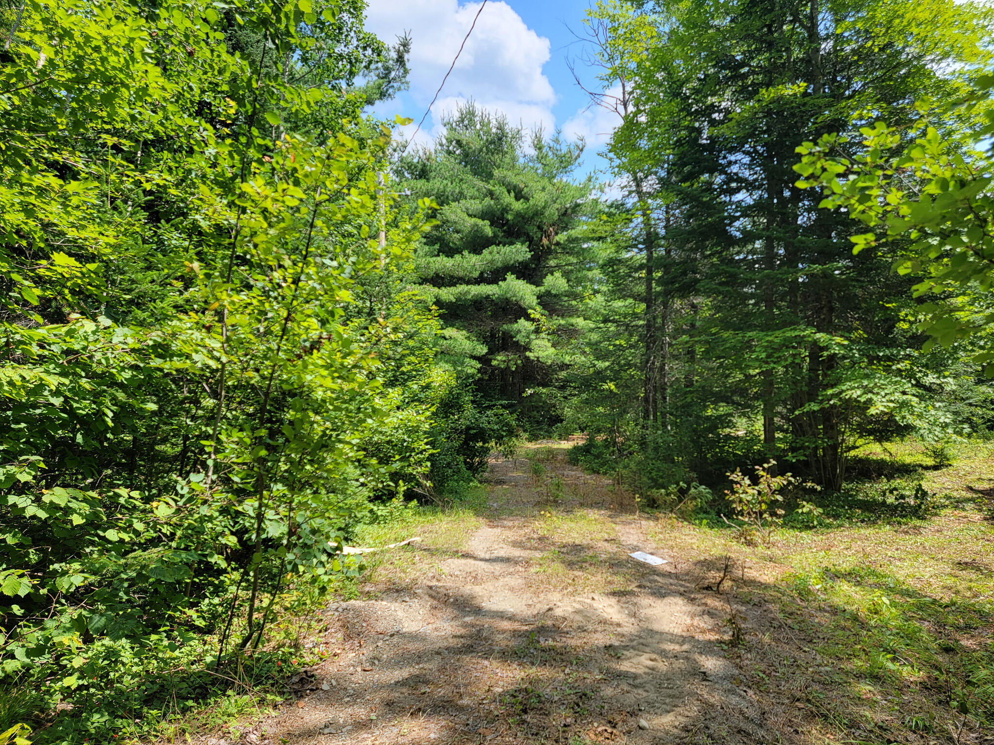 Lot 2 Old Winn Road Springfield, ME 04487 - Photo 7 of 12 20230725_122803