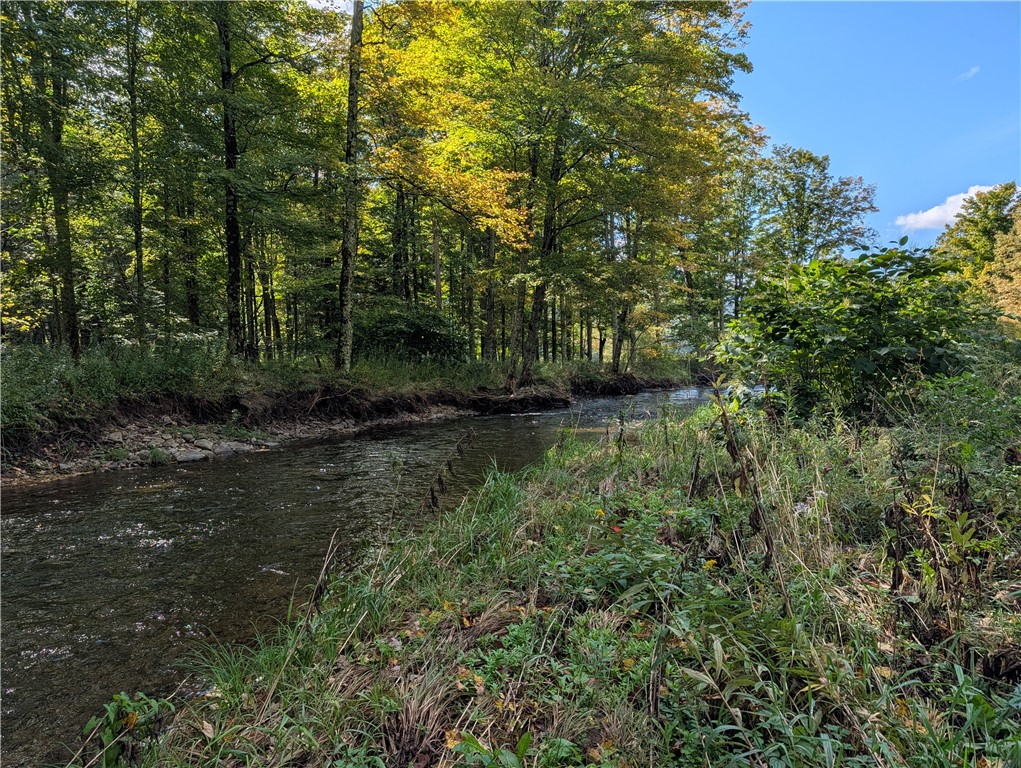 67 Fisk Road Bovina, NY 13753 - Photo 6 of 48 A tranquil flowing stream meanders past mature woodlands bordering the property.