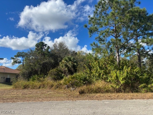a view of a house with a tree and yard in front of it