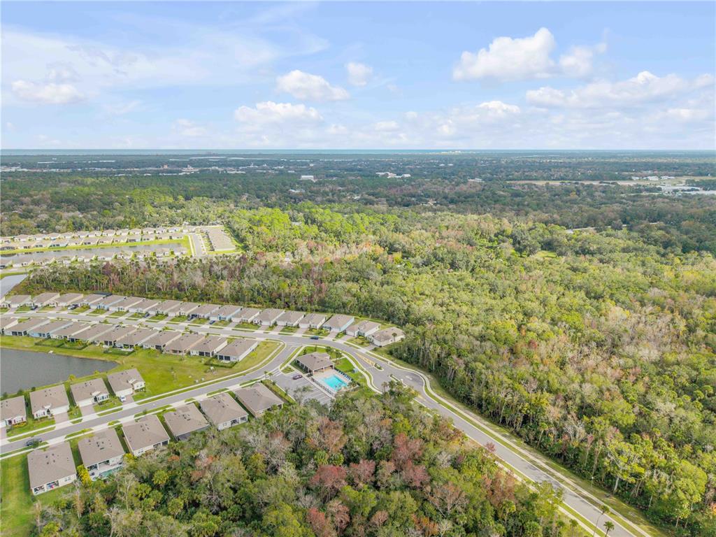 1743 Red Rock Road New Smyrna Beach, FL 32168 - Photo 55 of 62