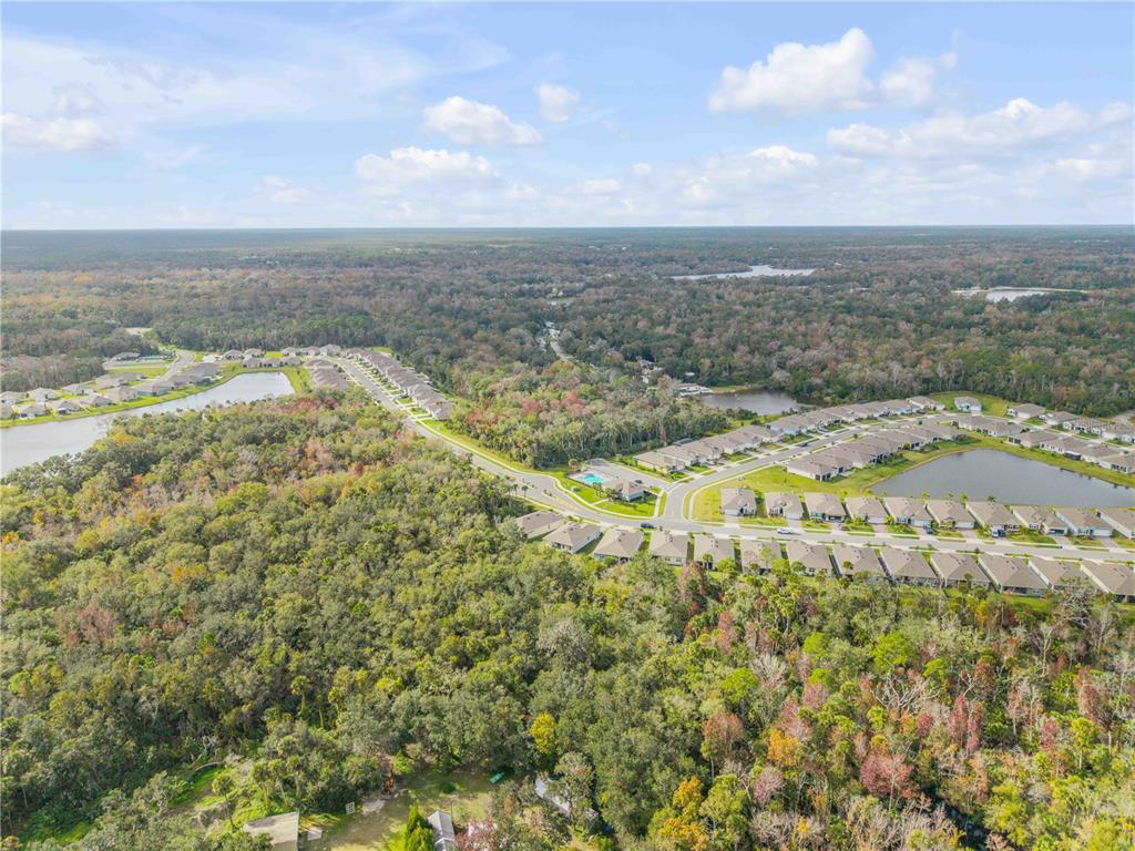 1743 Red Rock Road New Smyrna Beach, FL 32168 - Photo 59 of 62