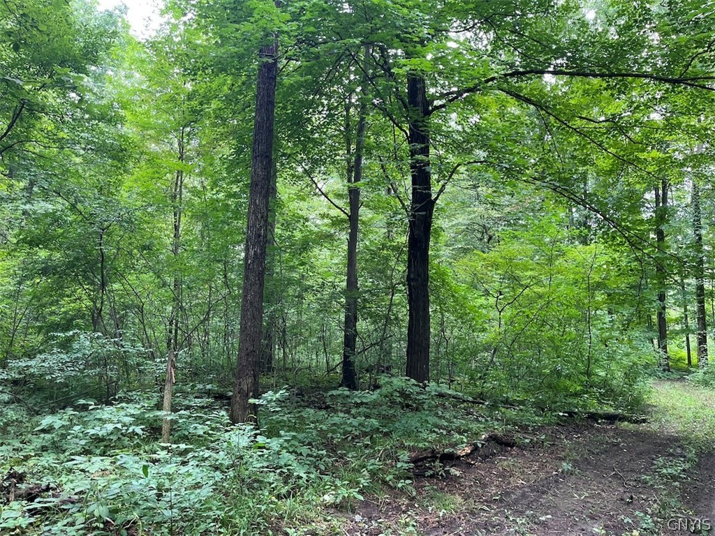 East Lee Road Albion, NY 14411 - Photo 12 of 20 Gallery Image 12