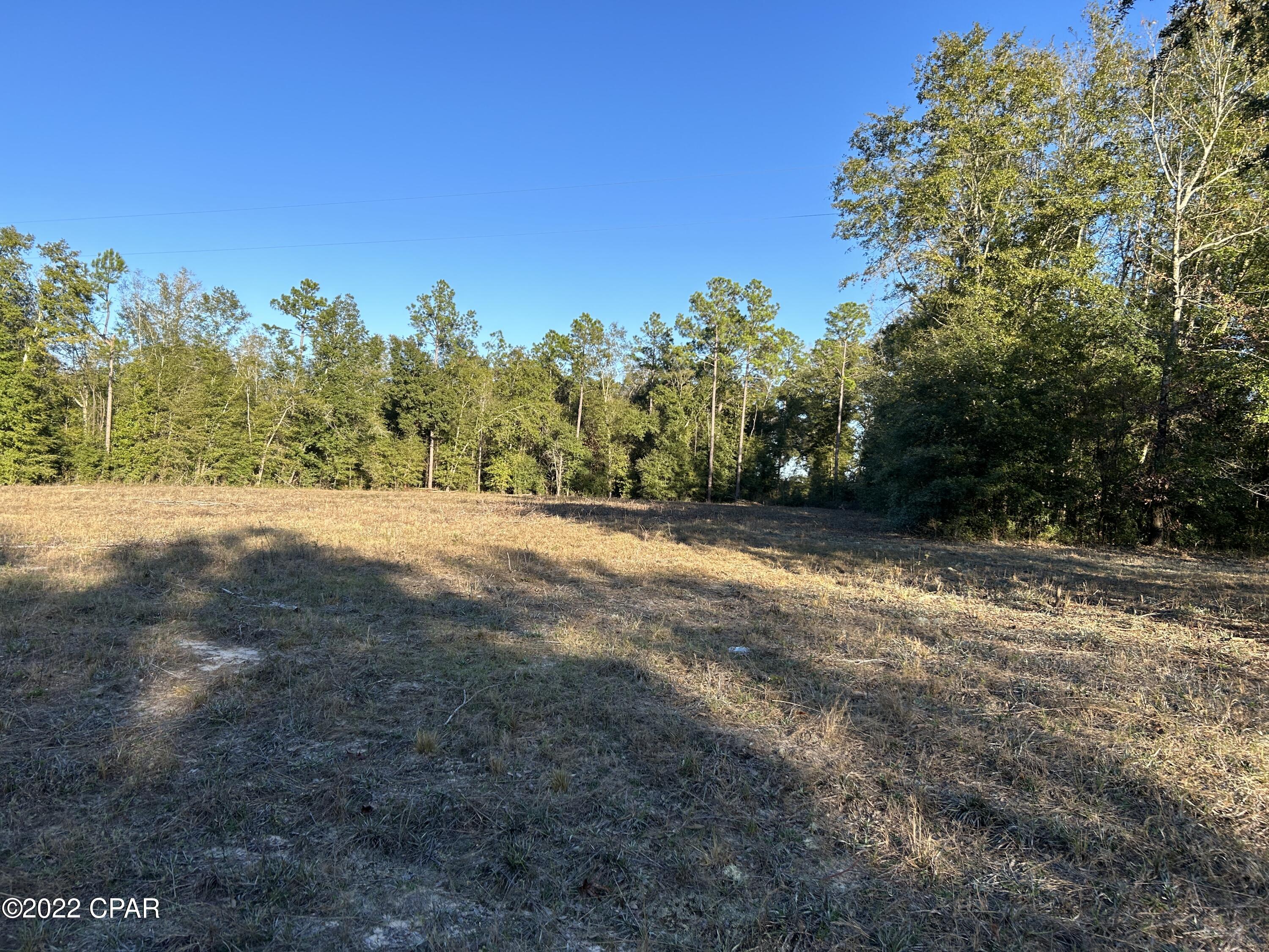 0 Bevis Road Bascom, FL 32423 - Photo 8 of 21