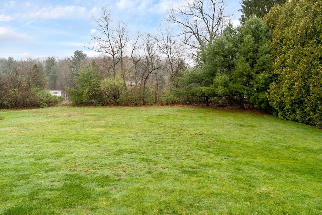 90 Greenwich Road Ware, MA 01082 - Photo 38 of 41 a view of a green yard