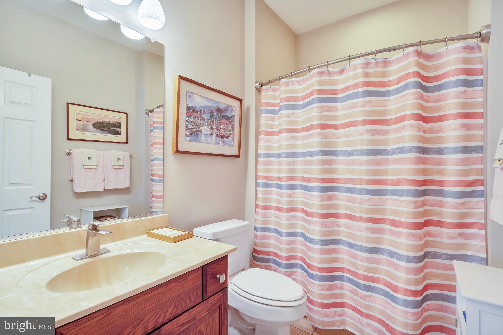 74 Cinder Way Georgetown, DE 19947 - Photo 30 of 54 Guest bath with tub shower