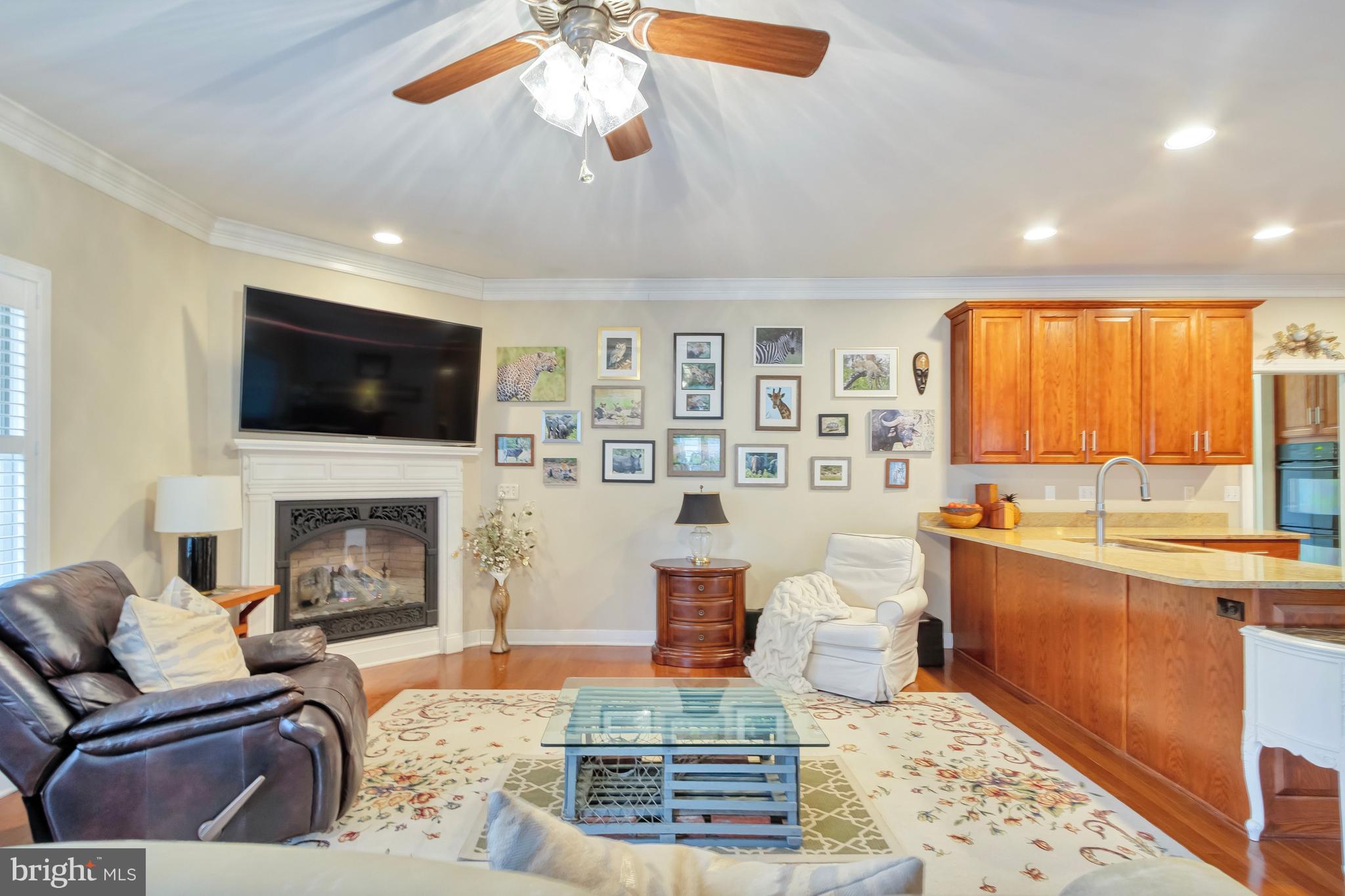 74 Cinder Way Georgetown, DE 19947 - Photo 9 of 54 Fireplace