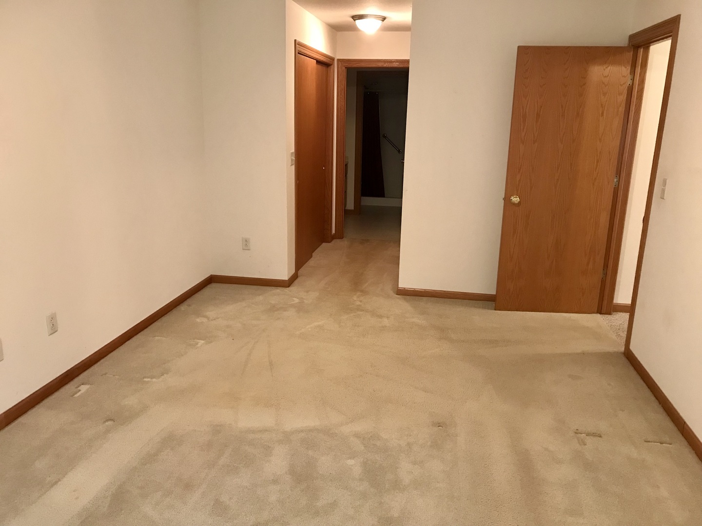 307 West Hudson Street Princeton, IL 61356 - Photo 18 of 23