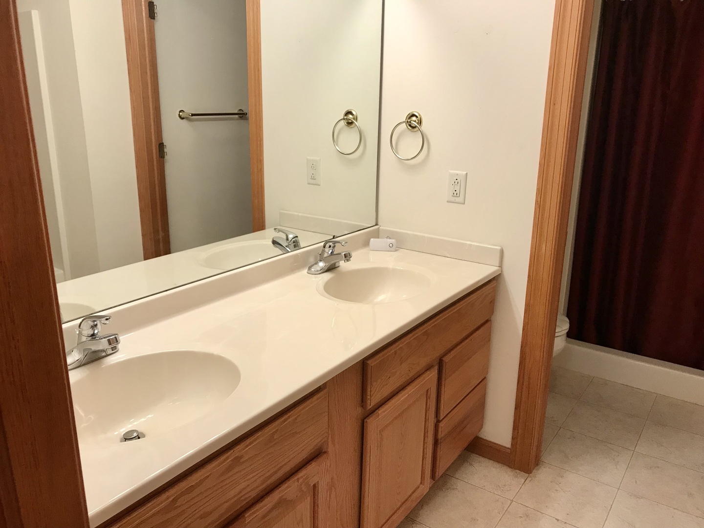 307 West Hudson Street Princeton, IL 61356 - Photo 21 of 23 a bathroom with a sink vanity and a mirror