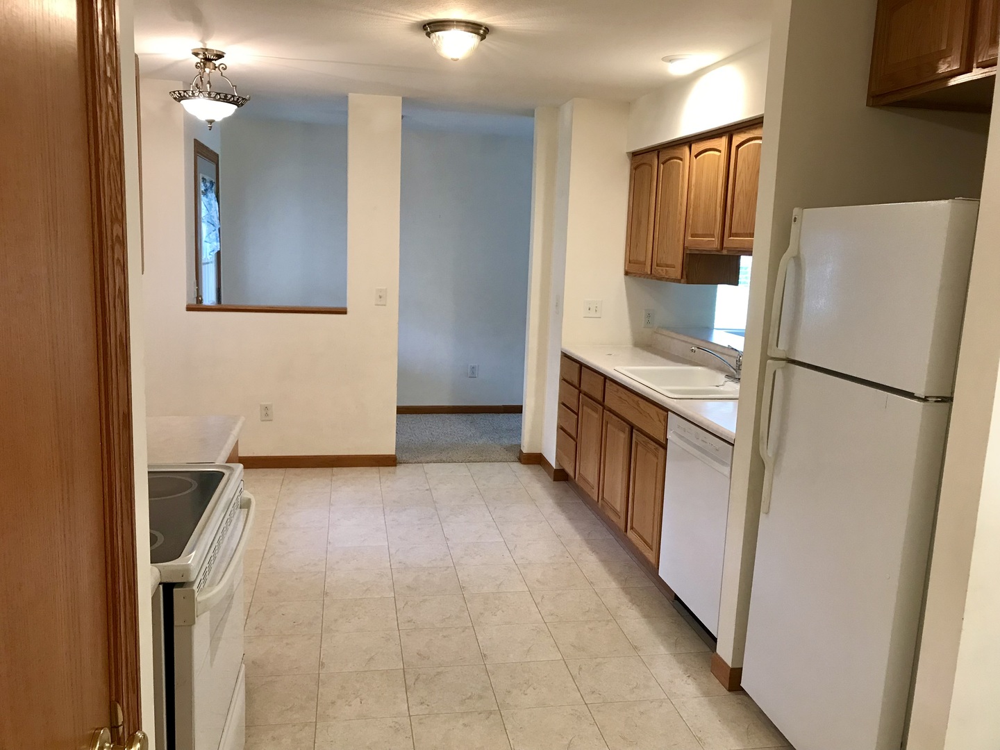 307 West Hudson Street Princeton, IL 61356 - Photo 4 of 23 a kitchen with a refrigerator and a sink
