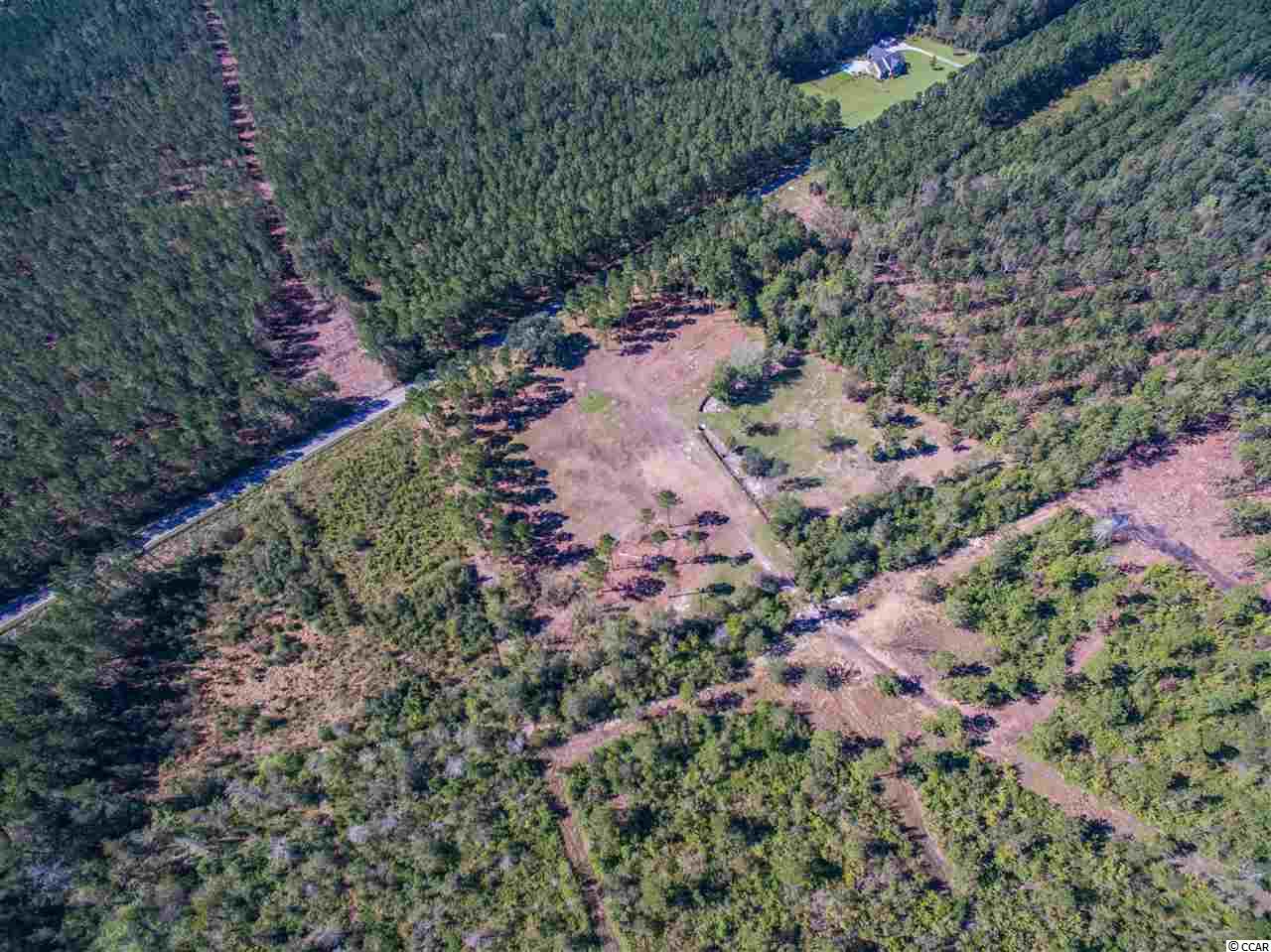 Lot A Alma Road Nichols, SC 29581 - Photo 1 of 21 Gallery Image 1