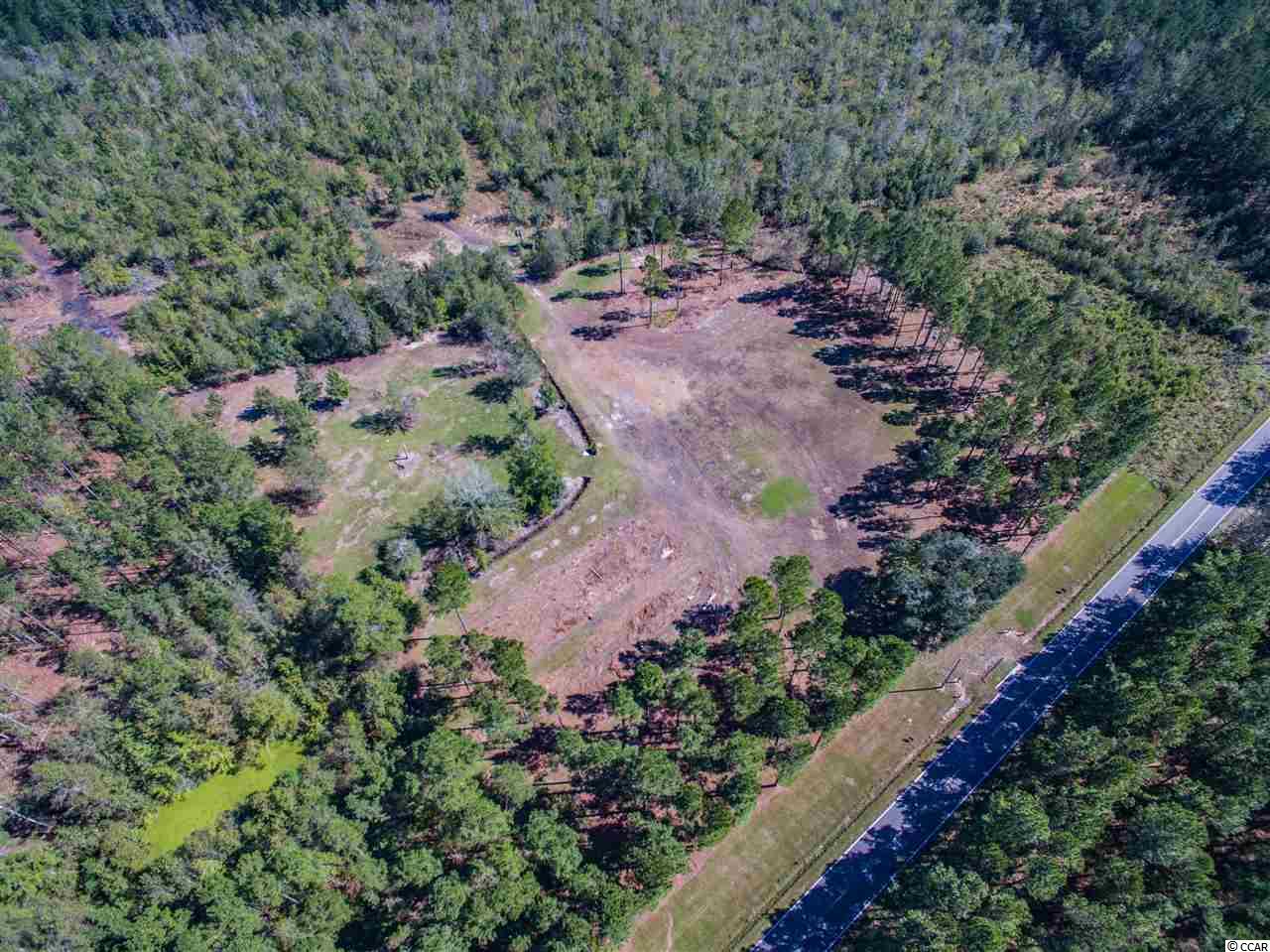 Lot A Alma Road Nichols, SC 29581 - Photo 13 of 21 Gallery Image 13