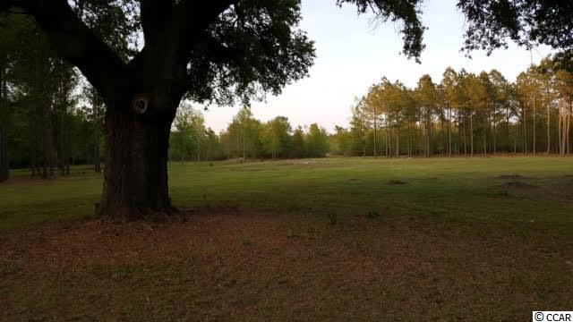 Lot A Alma Road Nichols, SC 29581 - Photo 16 of 21 Gallery Image 16