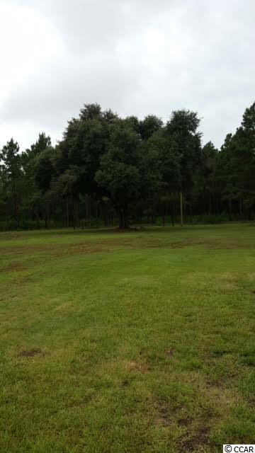 Lot A Alma Road Nichols, SC 29581 - Photo 19 of 21 Gallery Image 19