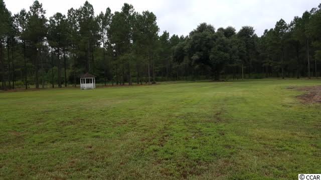 Lot A Alma Road Nichols, SC 29581 - Photo 20 of 21 Gallery Image 20