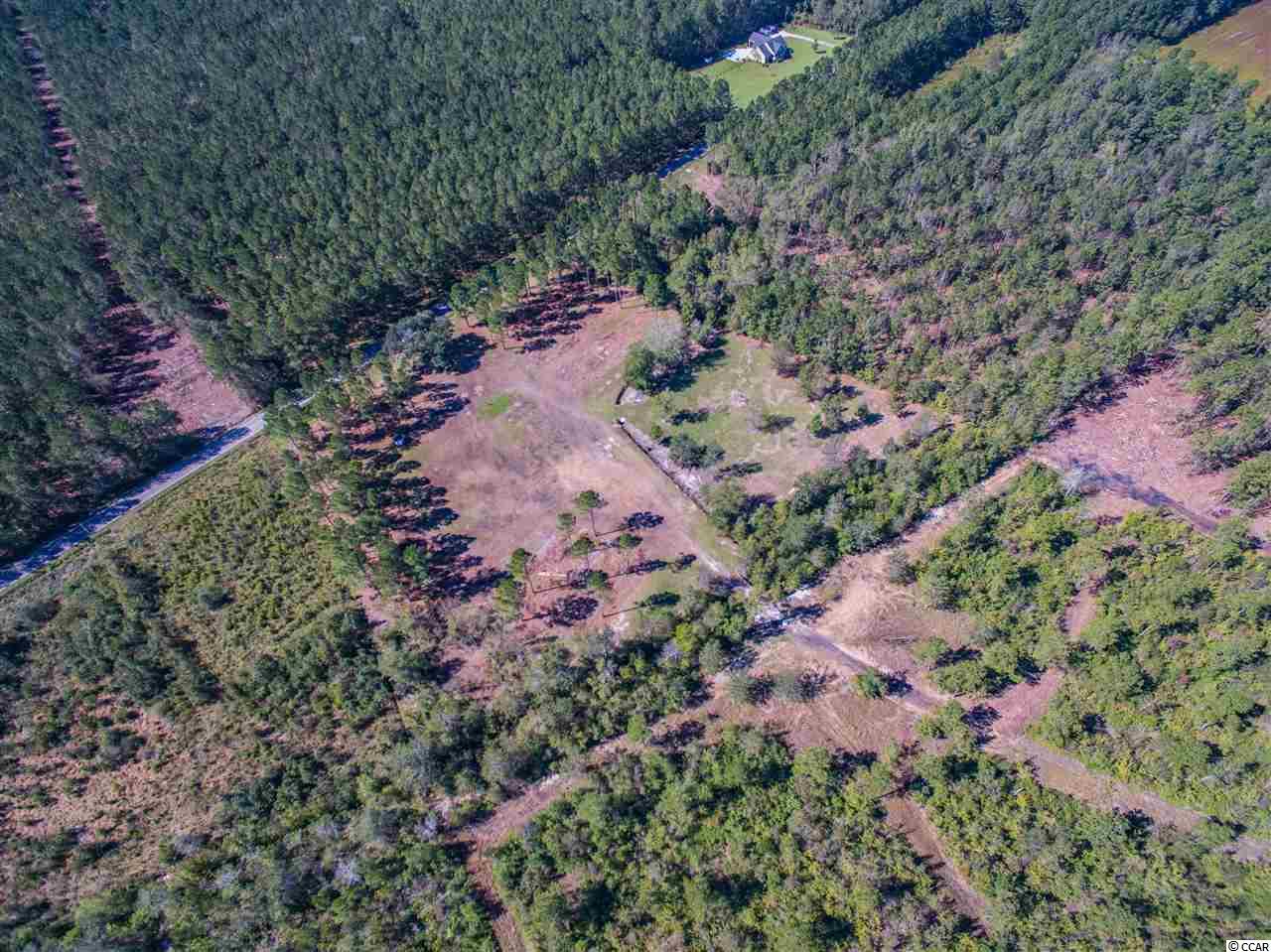 Lot A Alma Road Nichols, SC 29581 - Photo 3 of 21 Gallery Image 3