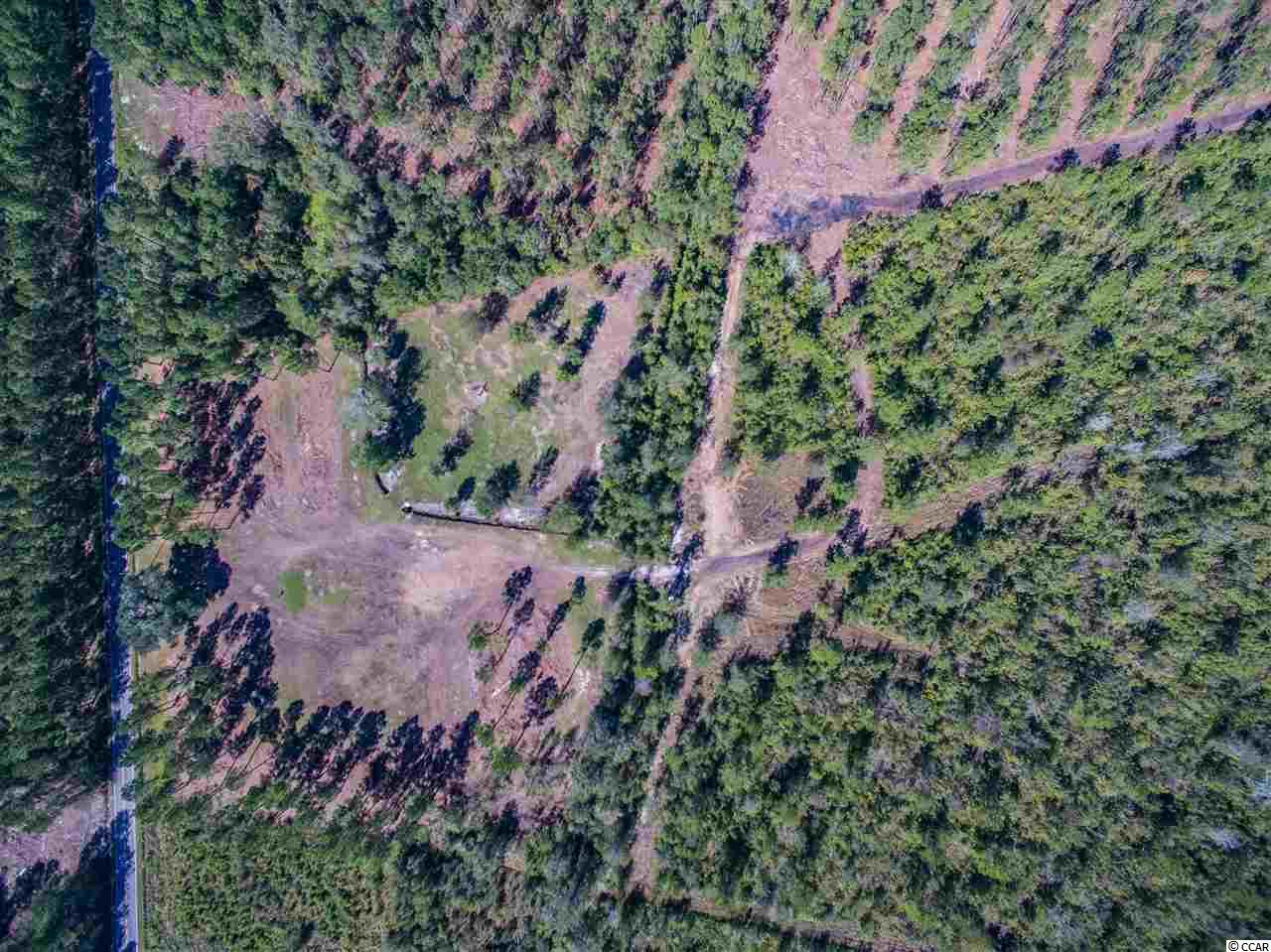 Lot A Alma Road Nichols, SC 29581 - Photo 5 of 21 Gallery Image 5
