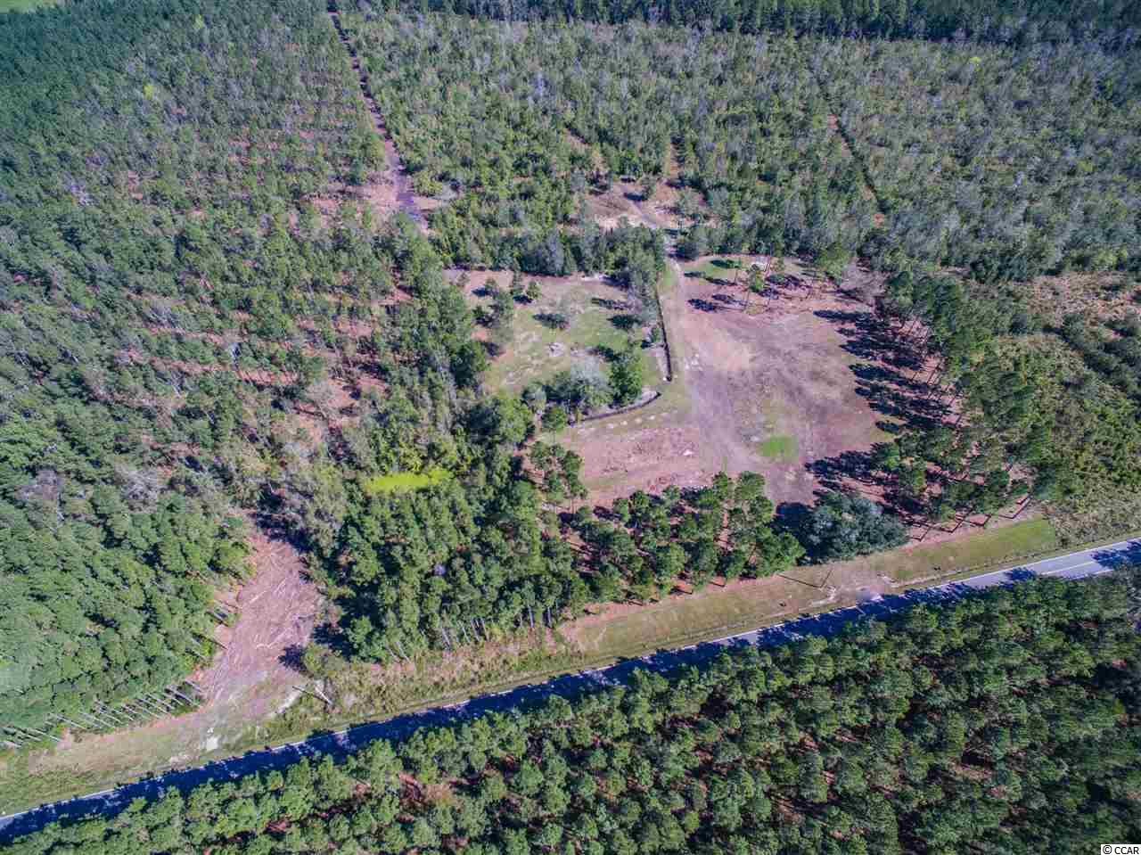 Lot A Alma Road Nichols, SC 29581 - Photo 6 of 21 Gallery Image 6