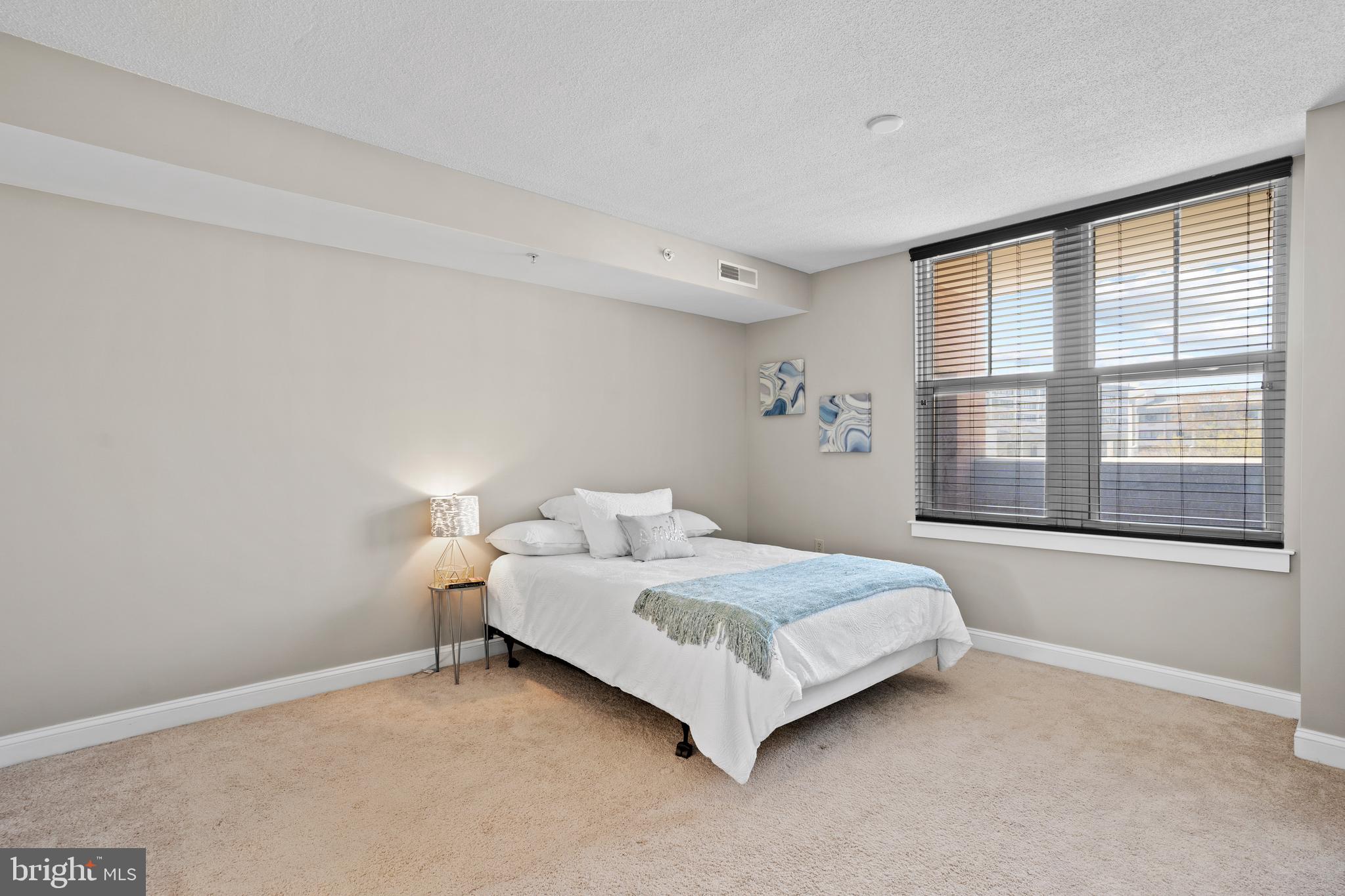 11760 Sunrise Valley Drive, Unit 310 Reston, VA 20191 - Photo 11 of 20