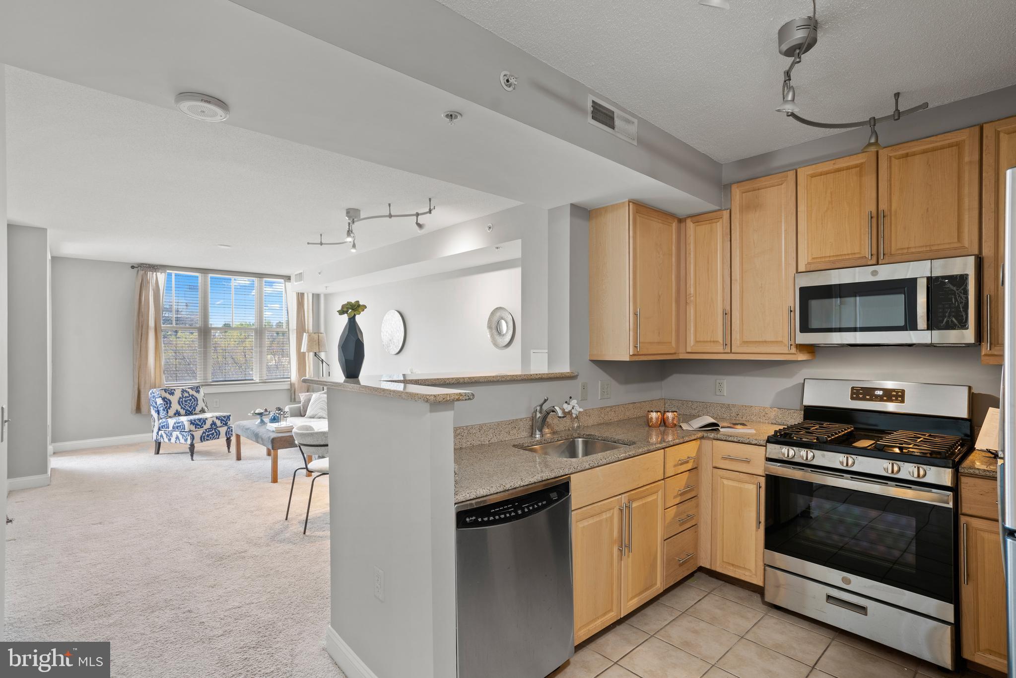 11760 Sunrise Valley Drive, Unit 310 Reston, VA 20191 - Photo 3 of 20