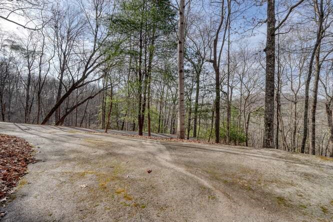 469 Myers Road Brasstown, NC 28902 - Photo 21 of 83