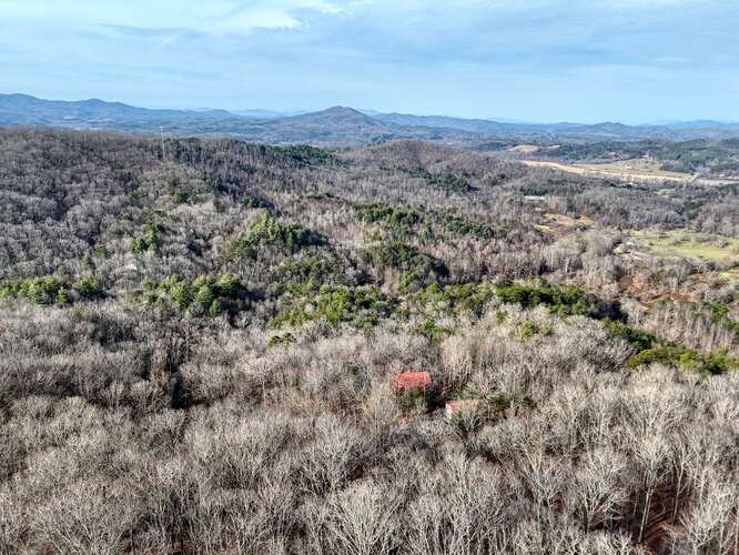 469 Myers Road Brasstown, NC 28902 - Photo 6 of 83