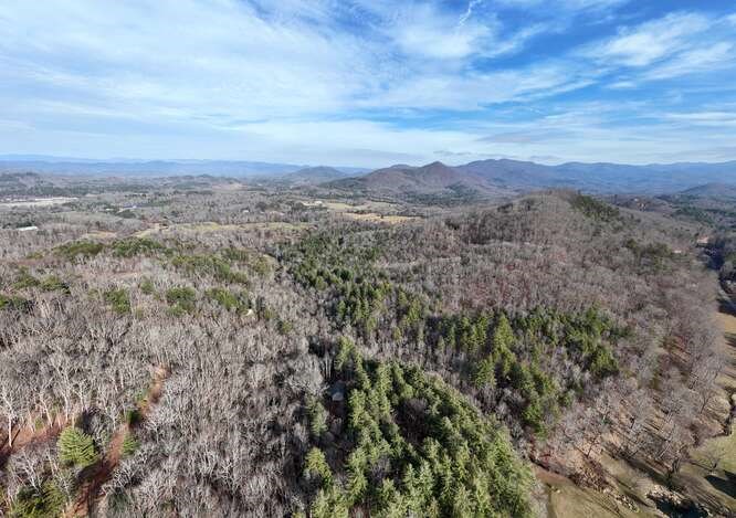 469 Myers Road Brasstown, NC 28902 - Photo 8 of 83