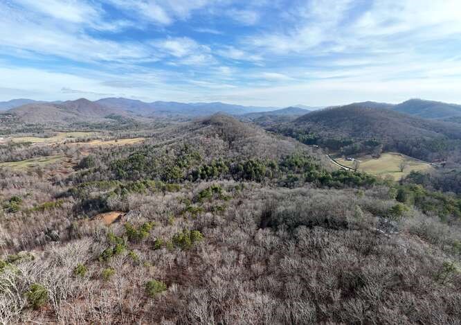 469 Myers Road Brasstown, NC 28902 - Photo 9 of 83