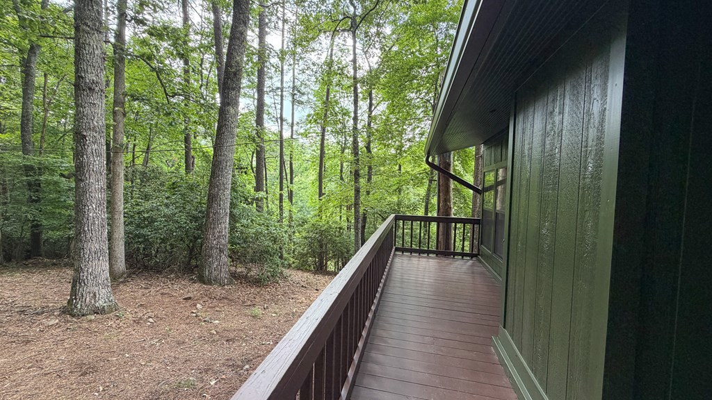 1253 Tipton Springs Road Morganton, GA 30560 - Photo 2 of 48