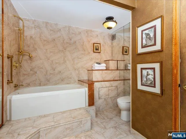 a bathroom with a toilet and a bathtub