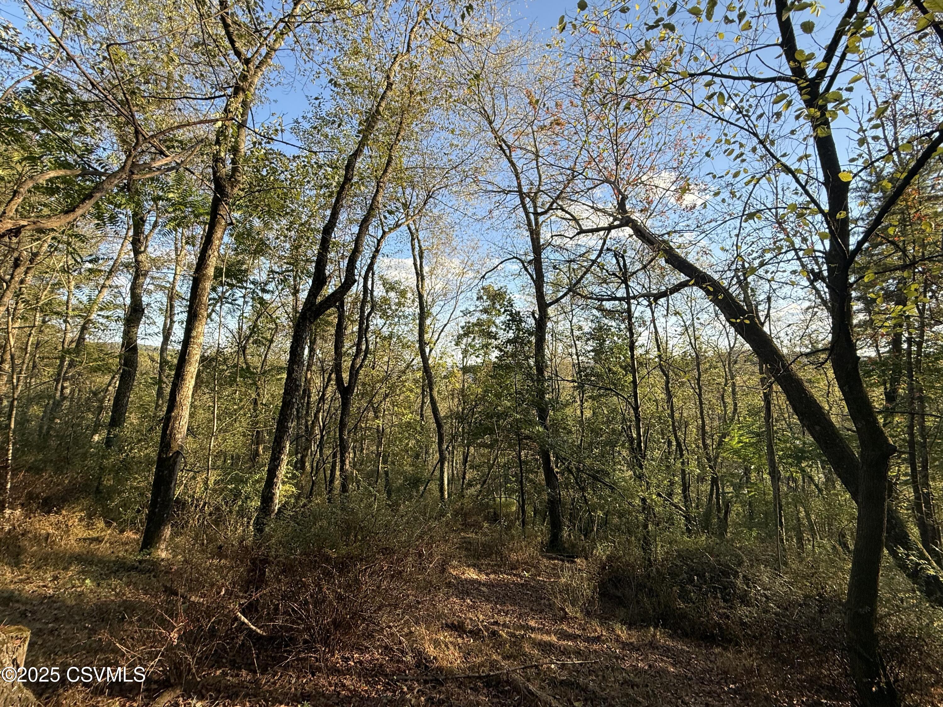 Ridge Road Cogan Station, PA 17728 - Photo 6 of 11