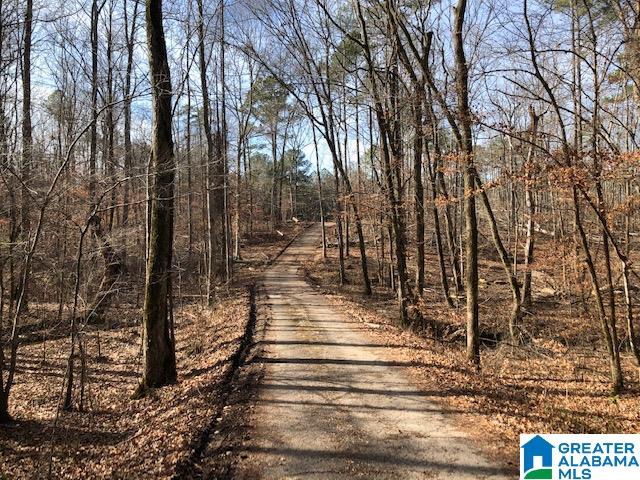 1919 Mt Gilead Road, Unit 9 21 Jacksonville, AL 36265 - Photo 2 of 39