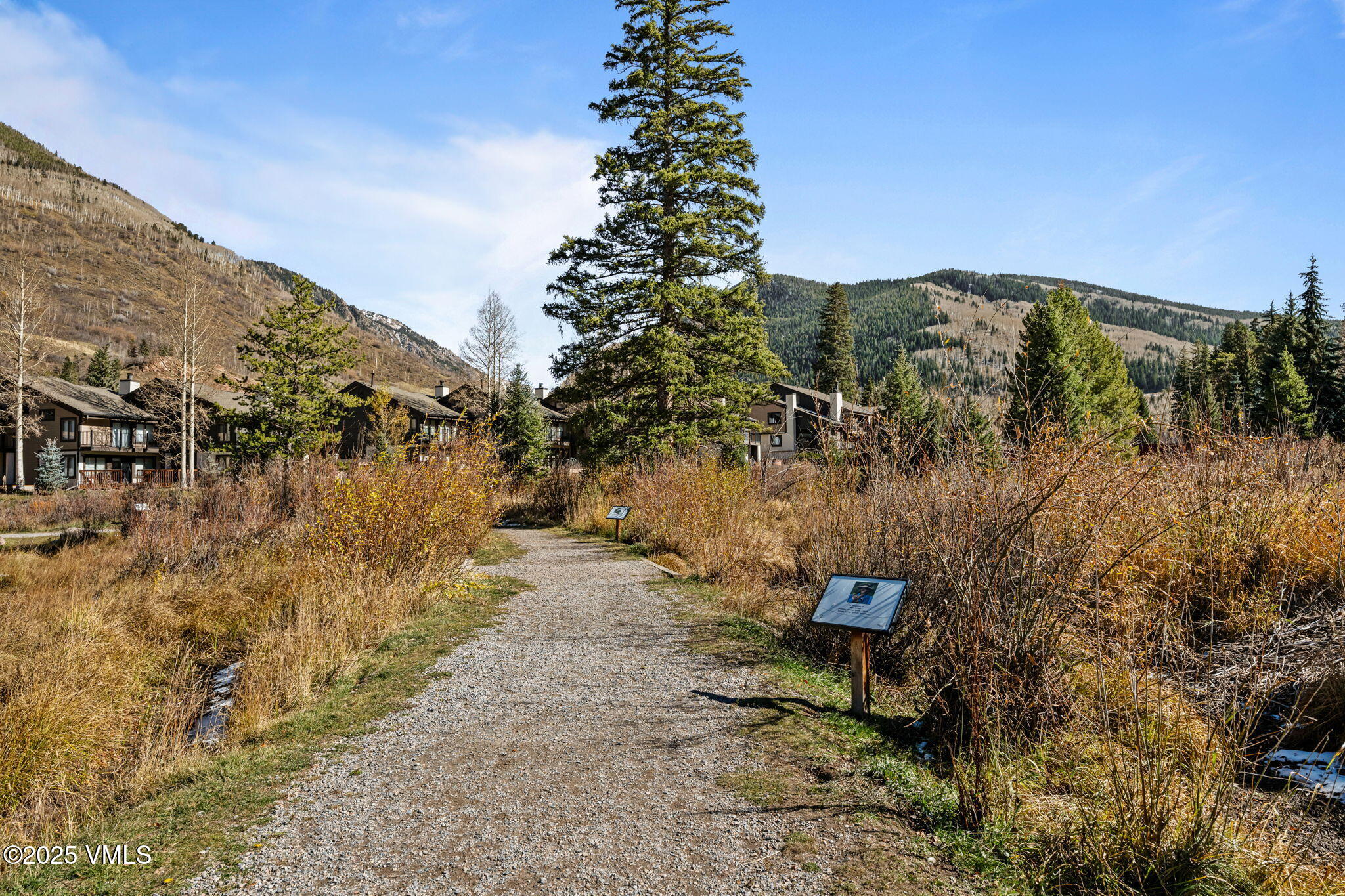 4770 Big Horn Road, Unit B4 Vail, CO 81657 - Photo 46 of 47 a view of a yard