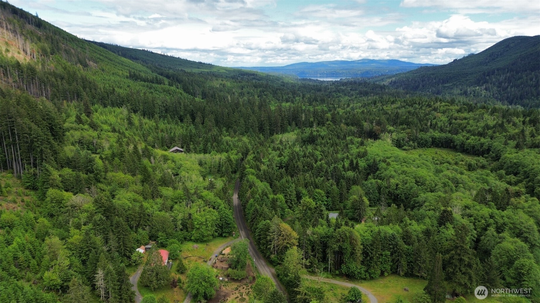 3320 Duckabush Road Brinnon, WA 98320 - Photo 37 of 38 a view of a city with lush green forest