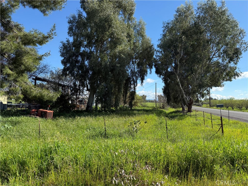 a view of a backyard with large trees