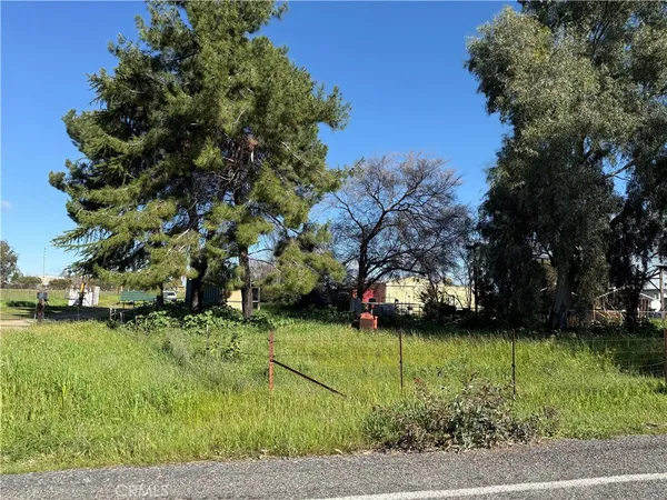 a view of yard with green space