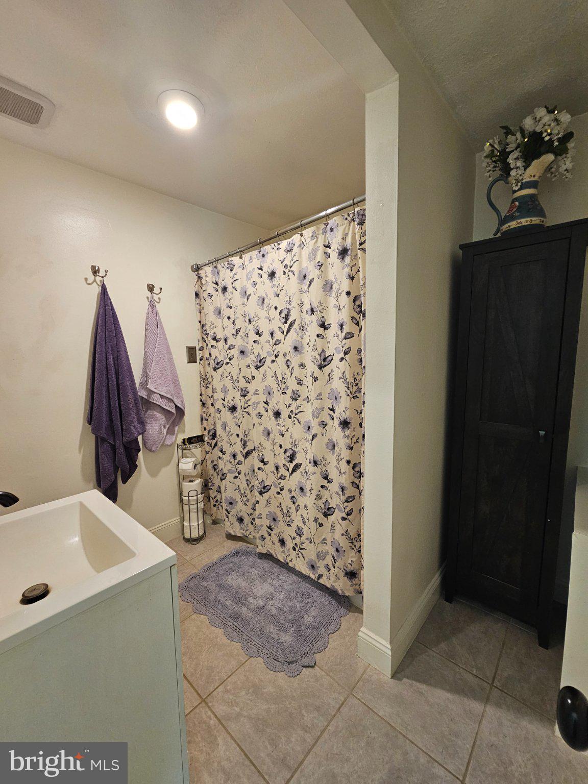 32 Parnassus Road Linden, VA 22642 - Photo 26 of 50 Charming bathroom with floral accents.