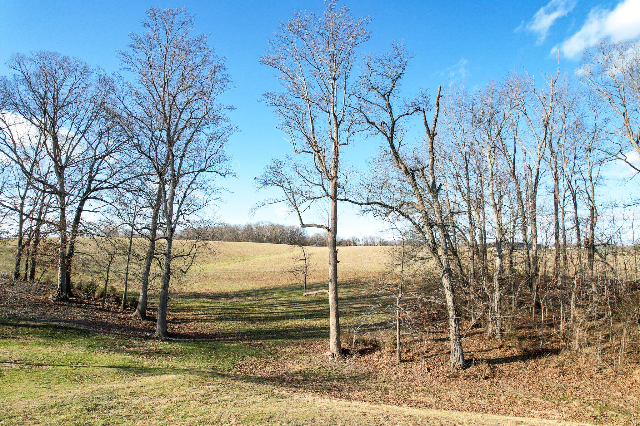 3275 Old Stage Road Chuckey, TN 37641 - Photo 13 of 47 DJI_0349