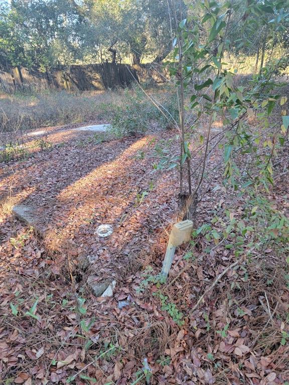 107 Lakeview Way Interlachen, FL 32148 - Photo 2 of 10 a view of a yard with plants and trees