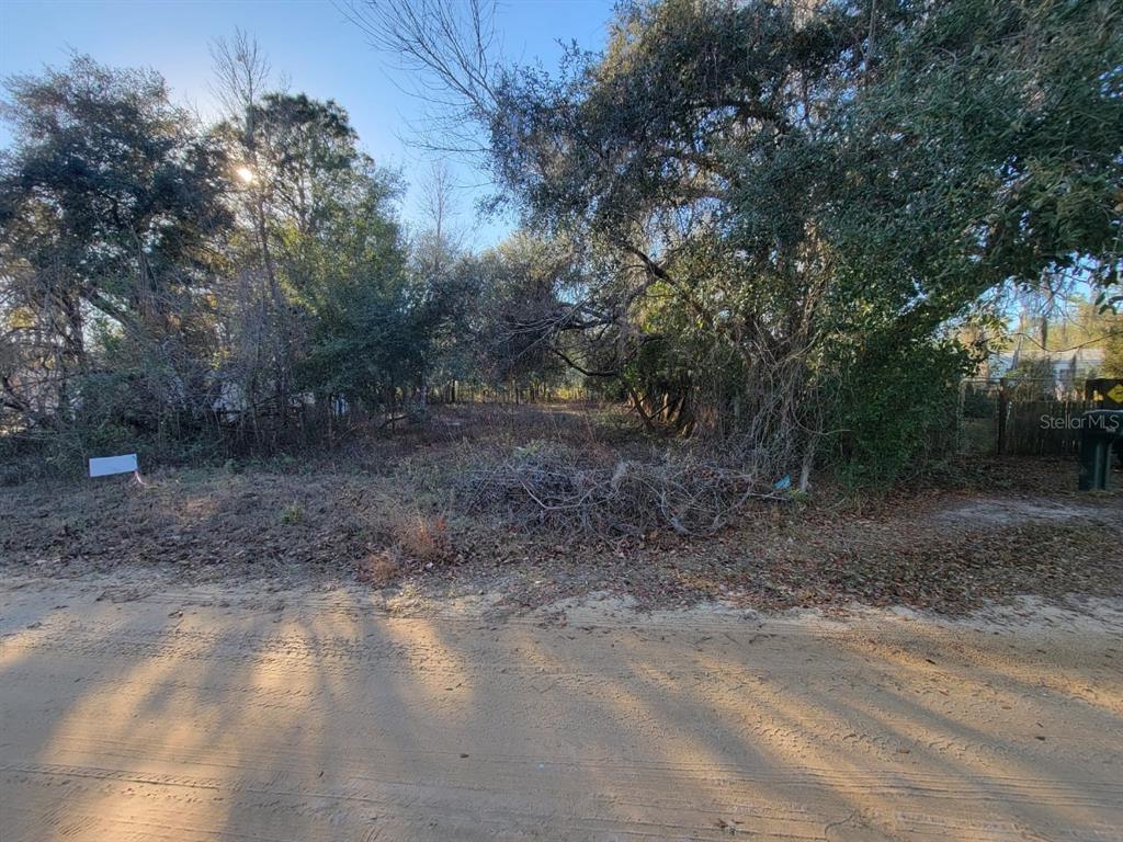 107 Lakeview Way Interlachen, FL 32148 - Photo 4 of 10 a view of a yard with a tree