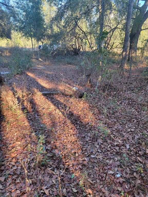107 Lakeview Way Interlachen, FL 32148 - Photo 5 of 10 a view of a yard with a tree