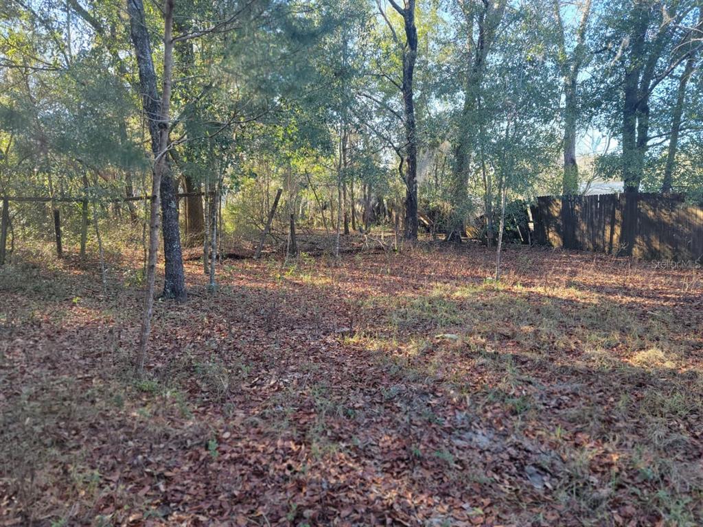 107 Lakeview Way Interlachen, FL 32148 - Photo 6 of 10 a view of a yard with trees