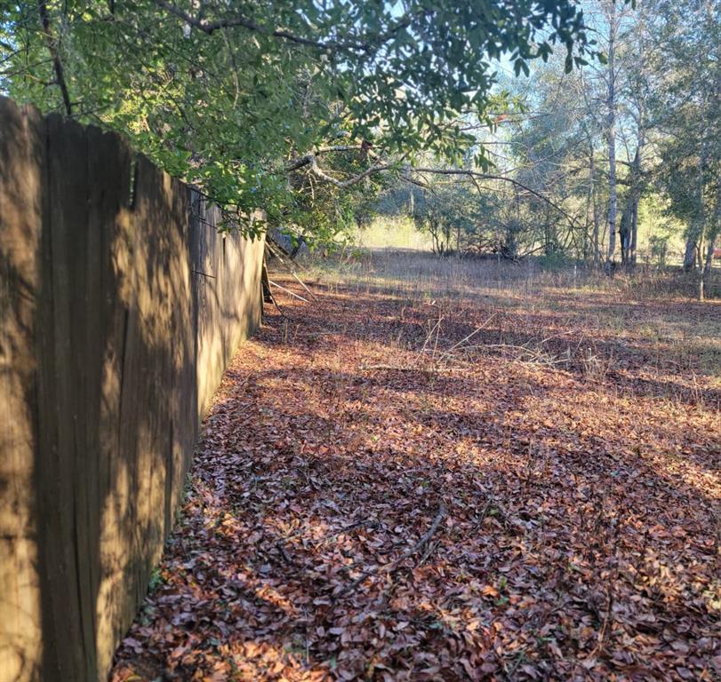 107 Lakeview Way Interlachen, FL 32148 - Photo 7 of 10 a view of backyard with green space
