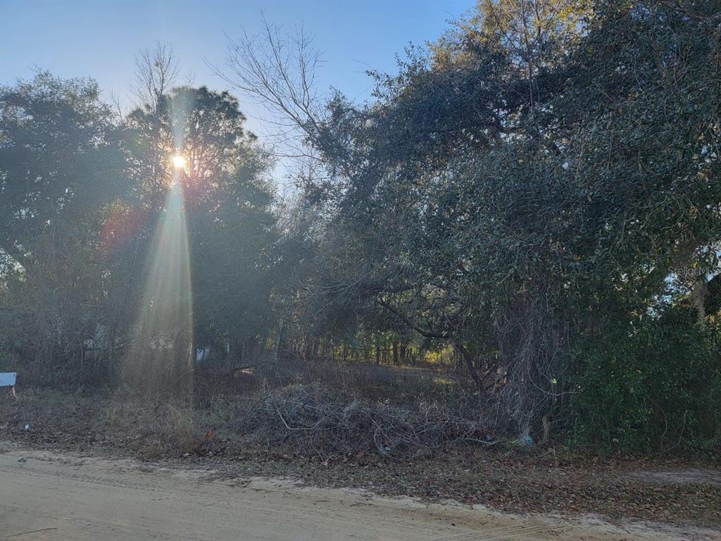 107 Lakeview Way Interlachen, FL 32148 - Photo 10 of 10 a view of a street view